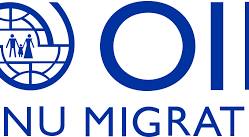 OIM (ONU Migration)